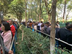 -韶山毛泽东同志故居