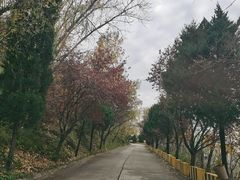 -终南山南五台景区