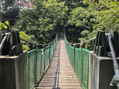 -西双版纳原始森林公园