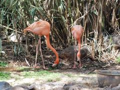 -昆明动物园
