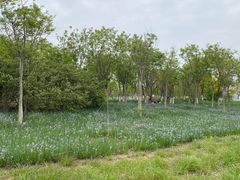 -天津东丽湖风景区
