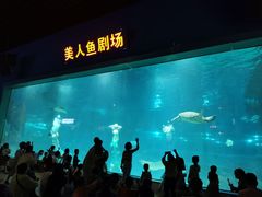 -福州罗源湾海洋世界旅游区
