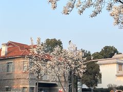 -冬哥川菜馆(十梓街店)