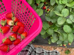 -任达丞国农庄(任达山庄店)