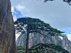 -黄山风景区