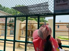 -保定市动物园