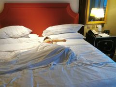 -澳门喜来登大酒店