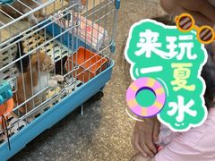 -双季花艺园艺市场(浦东店)