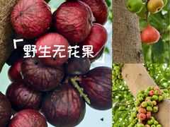-南宁南湖公园