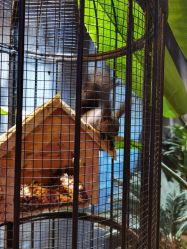 -酷嗒动物文化乐园(cutezoo西溪乐天城店)