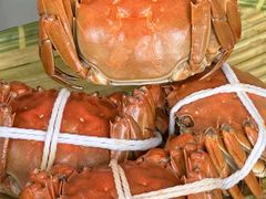 -蟹天蟹地农家菜·阳澄湖大闸蟹(浅水湾店)