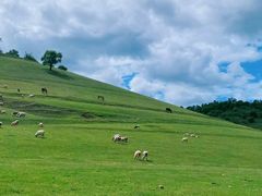 -关山草原