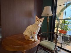 -灯塔咖啡馆BOOK·Coffee Shop