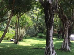 -深圳国际园林花卉博览园