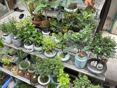 -苏州艺都古玩花鸟市场