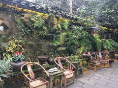 -青城甲(青城山店)