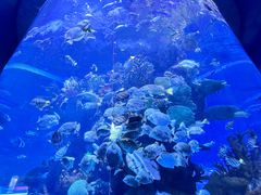 -多彩贵州城极地海洋世界