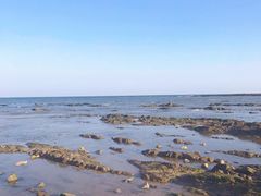 -前王院•巧克力海鲜市集餐厅(万平口店)