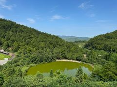 -武陵山森林公园