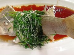 -院里寻菜·祖庵菜宴请(观沙岭店)