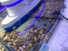 海螺-澜悦港海鲜体验主题餐厅