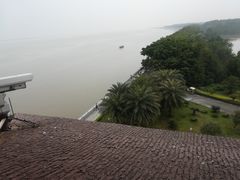 -大湾区中央湿地公园