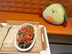 -油梨树 AVOCADO TREE(亮马桥店)