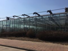 -杨柳青园艺科技博览园