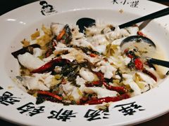 -宋小谨(惠安禹洲店)