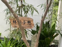 -东平国家森林公园