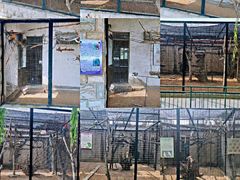 -石家庄市动物园