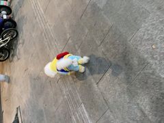 -佳雯宠物医院(金华南路分院)