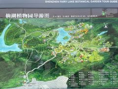 -深圳仙湖植物园
