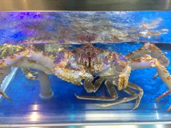 -盒马X会员店(王府井奥莱UP TOWN店)