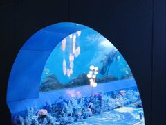 -重庆欢乐海底世界