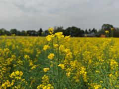 -中国天府农业博览园