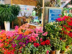 -双季花艺园艺市场(浦东店)