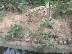 -野象谷景区