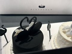 -BLACKSWAN黑天鹅(环球店)