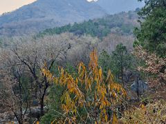 -阳台山自然风景区