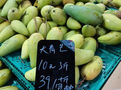 -西双版纳原始森林公园