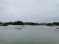 -银涛高尔夫练习场(徐泾店)