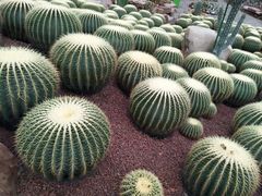 景点-南通洲际绿博园