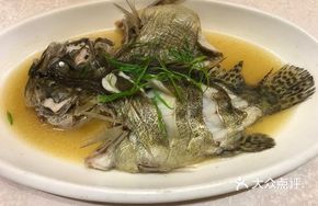 Chicken Stock Guilu Fish