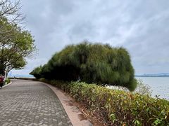 -深圳湾公园(南山区)