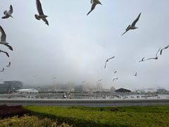 -星海广场