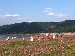 -木洞河街