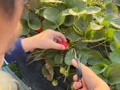 -神光山国家森林公园