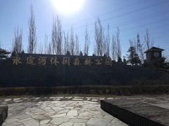 -永定河休闲森林公园