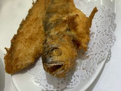 -金春禧(世茂国际广场店)